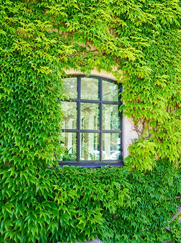 MIljö & Hållbarhet - Preconal